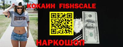 шишки Изобильный