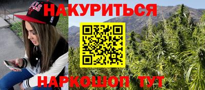 шишки Изобильный